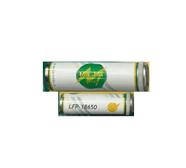 Lithium Ion